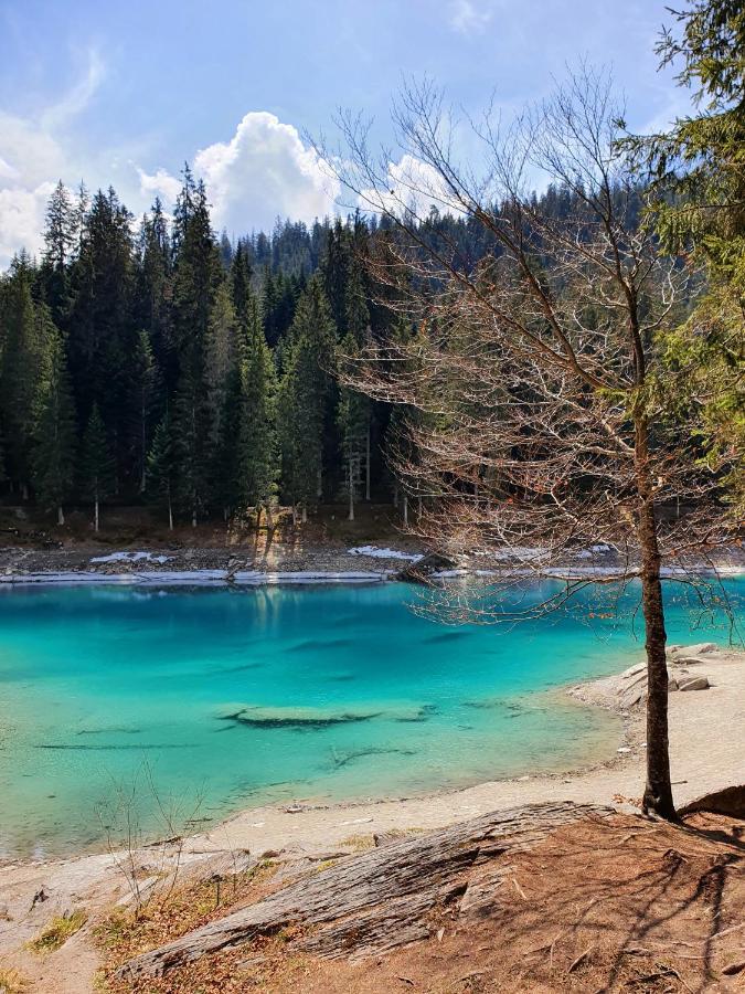Ferienwohnung Stenna Selva An Toplage فيلمز المظهر الخارجي الصورة