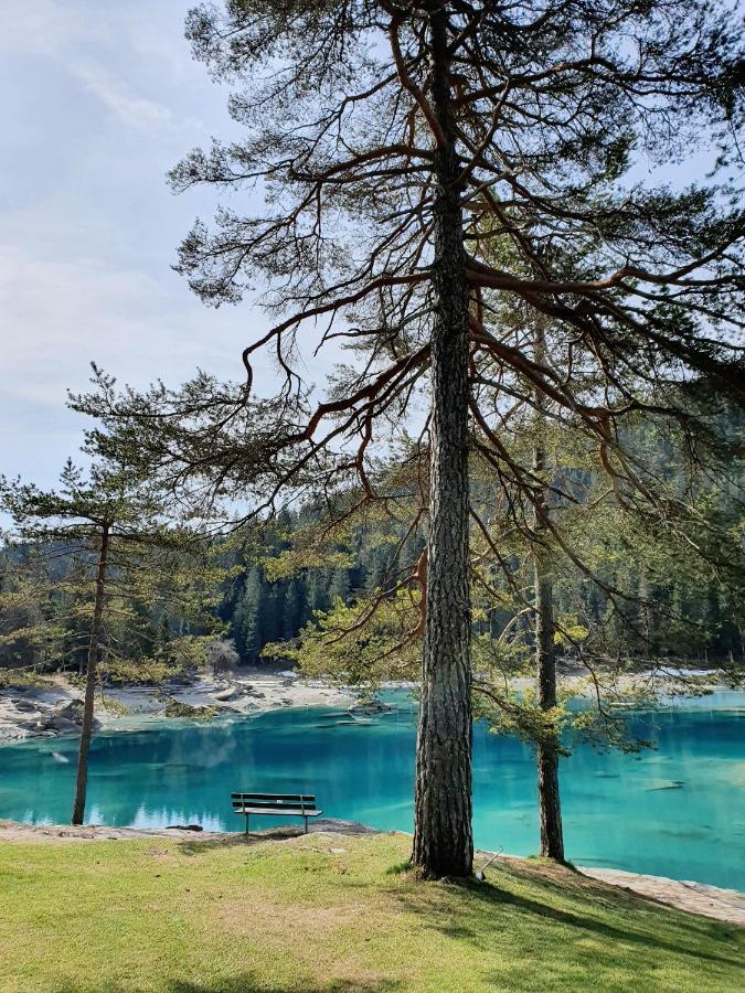 Ferienwohnung Stenna Selva An Toplage فيلمز المظهر الخارجي الصورة
